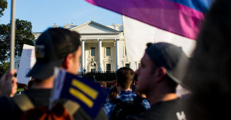 In One Day, Trump Administration Lands 3 Punches Against Gay Rights | PinkieB.com | LGBTQ+ Life | Scoop.it