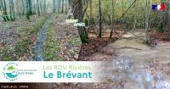Restauration de l'hydrosystème de tête de bassin versant du Brevant dans le massif forestier de Rumilly-Chaource | Biodiversité | Scoop.it