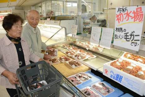 Experts play down fish radiation fear | The Asian Food Gazette. | Scoop.it
