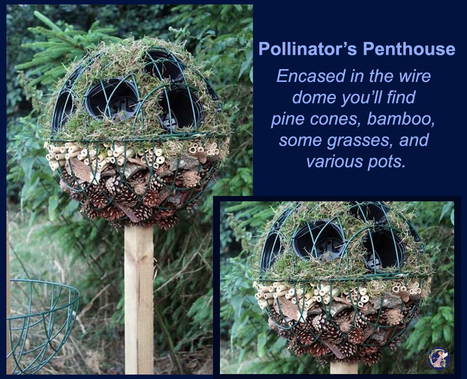 Pollinator's Penthouse | Upcycled Garden Style | Scoop.it