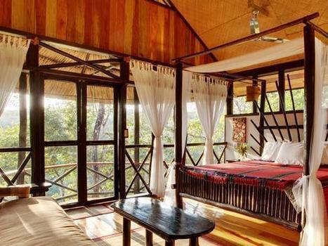Belize's 10 Best Jungle Lodges | Cayo Scoop!  The Ecology of Cayo Culture | Scoop.it