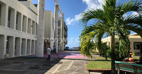 Université des Antilles : à l'origine de la discorde | Revue Politique Guadeloupe | Scoop.it
