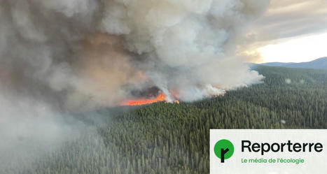 Incendies : le Canada se prépare « au pire » | Biodiversité - @ZEHUB on Twitter | Scoop.it