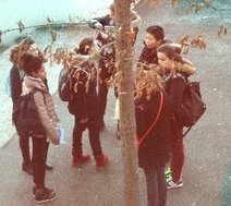 Eric Debarbieux : L'oppression viriliste et la violence scolaire | Jeunesse, &eacute;ducation et d&eacute;crochage scolaire | Scoop.it