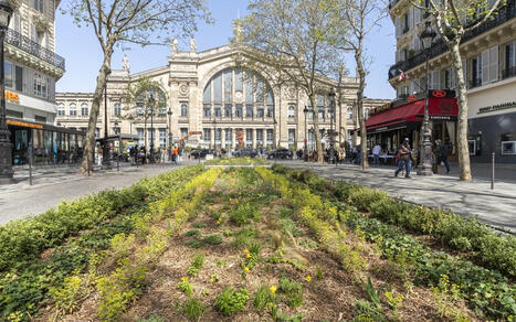 R&eacute;am&eacute;nagement, v&eacute;g&eacute;talisation&nbsp;: comment les abords de la gare du Nord se sont transform&eacute;s - Ville de Paris | Veille "Villes de demain" | Scoop.it