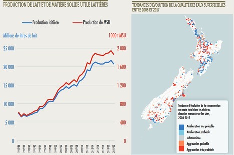 Nouvelle-Zélande : entre plafonnement de la production laitière et contraintes environnementales | Lait de Normandie... et d'ailleurs | Scoop.it