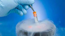 What is the Age Limit of Egg Freezing? | Fertility Treatment in India | Scoop.it