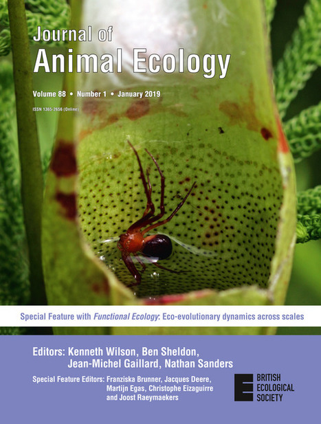 Special Feature: Eco‐evolutionary dynamics across scales: Journal of Animal Ecology : Vol 88 , No 1 | Biodiversité | Scoop.it