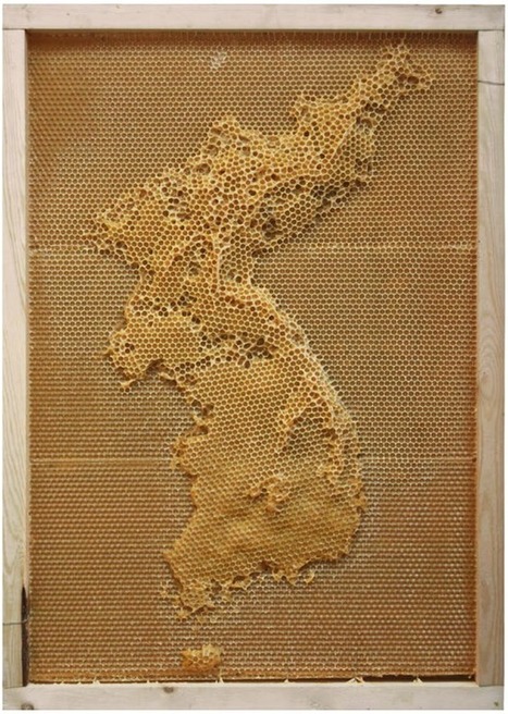 Getting bees to construct geographic maps | Journalisme graphique | Scoop.it