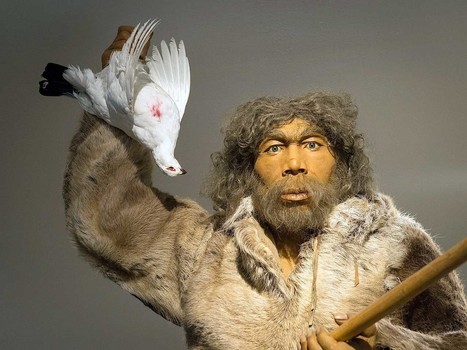 Por qué desaparecieron los neandertales y triunfaron los sapiens | Educación, TIC y ecología | Scoop.it