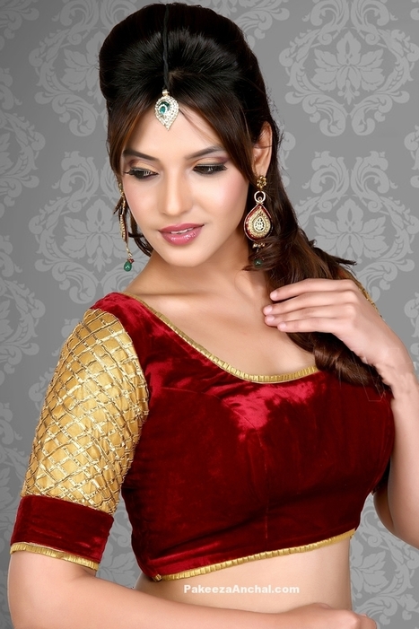 Most Popular Designer Velvet Blouse Designs for Saree, Lehengas for Women | Indian Fashion Updates | Scoop.it
