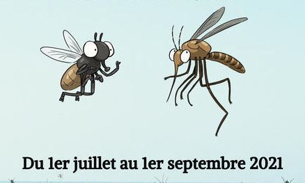 EntomoCalendrier juillet-août 2021 | Variétés entomologiques | Scoop.it