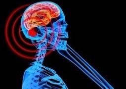 Brain Wave Warping Effect of Mobile Phones, Study Reveals | Health Supreme | Scoop.it