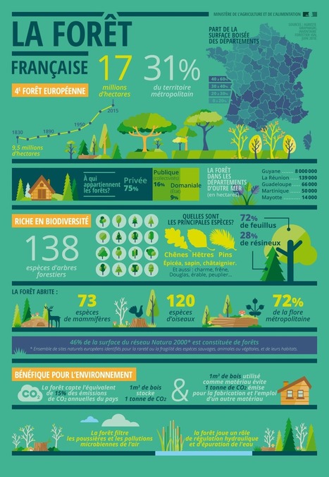 #Biodiversité | #Journée #internationale des #forêts - 21 mars | RSE et Développement Durable | Scoop.it