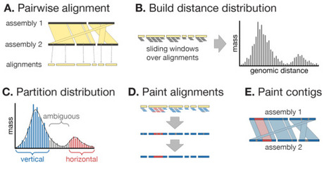Verticall: A fast and robust tool for recombination detection in large-scale bacterial genomic datasets | brvbi | RMH | Scoop.it