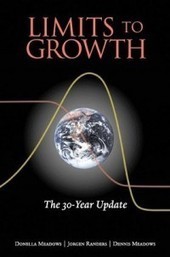 Money and Sustainability – the missing link | THE CLUB OF ROME (www.clubofrome.org) | Peer2Politics | Scoop.it