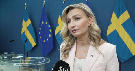 Ebba Busch om kritiken mot renn&auml;ringspolitiken: &rdquo;D&aring; har FN fel&rdquo; | Lehti | Scoop.it