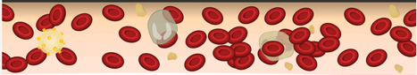 Aplicación interactiva sobre la sangre | Educación 2.0 | Scoop.it