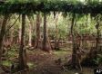 $100 Million for the Everglades: A Smart Investment for Nature and People | Biodiversité - @ZEHUB on Twitter | Scoop.it