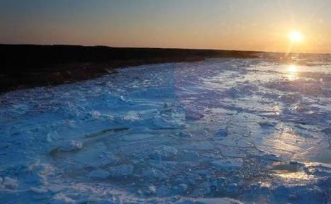 Canada: fermeture polémique de bibliothèques scientifiques | Paysage - Agriculture | Scoop.it