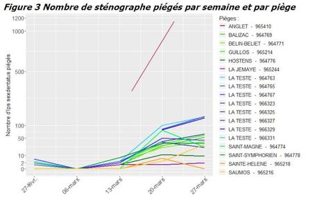 Les premiers envols de scolytes ont été repérés dans la forêt de La Teste-de-Buch, en Gironde, à la fin du mois de mars | EntomoNews | Scoop.it