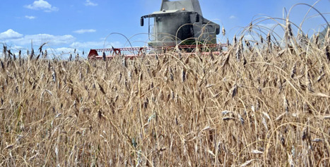 L'ECHO DEMETER : L&rsquo;Ukraine en guerre, un g&eacute;ant agricole avec un seul genou &agrave; terre&nbsp; | L'ECHO DEMETER | Scoop.it
