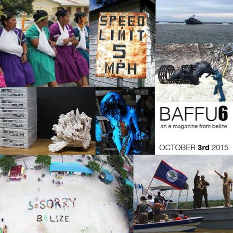 BAFFU Vol 6 | Cayo Scoop!  The Ecology of Cayo Culture | Scoop.it