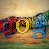 Top 10 Ways to Speed Up and Beef Up Your Google Searches | Magpies and Octopi | Scoop.it