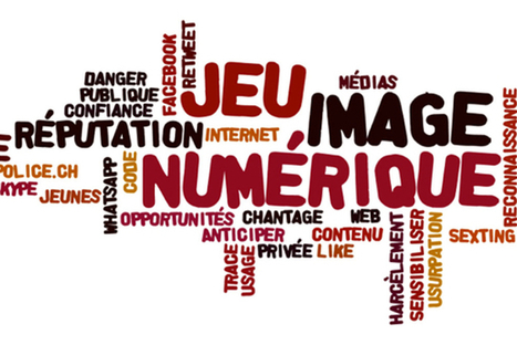 Un jeu vid&eacute;o pour prot&eacute;ger son image sur Internet | UseNum - Jeux | Scoop.it