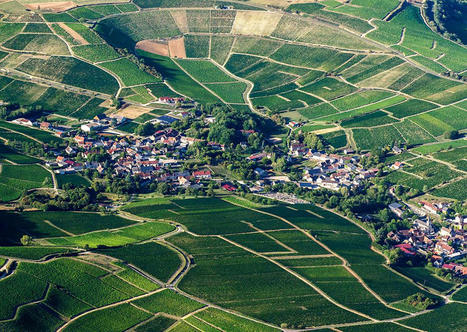 DOSSIER - Artificialisation des sols : la difficile équation du ZAN | Banque des territoires | La SELECTION du Web | CAUE des Vosges - www.caue88.com | Scoop.it