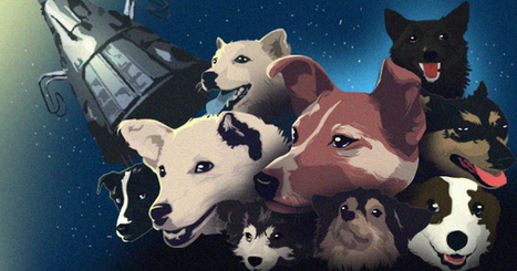 A Tribute To Soviet-Era Space Dogs (Infographic) | IELTS, ESP, EAP and CALL | Scoop.it