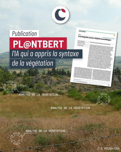 PL@ntBERT : l&rsquo;IA qui a appris la syntaxe de la v&eacute;g&eacute;tation -&nbsp;Conservatoire botanique national m&eacute;diterran&eacute;en | Biodiversit&eacute; | Scoop.it