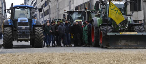 Dermatose nodulaire : les &eacute;leveurs annoncent un durcissement de la mobilisation en Ari&egrave;ge | LeMasInfos | Scoop.it