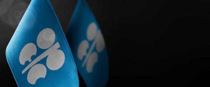 OPEC Holds Firm on Bullish Oil Demand Outlook for 2026 | Financial Markets Report  - Transforming Money Into Wealth | Scoop.it