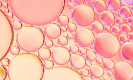 Collag&egrave;ne : une tendance majeure en 2026 dans l&rsquo;agroalimentaire | AGROALIMENTAIRE | Scoop.it