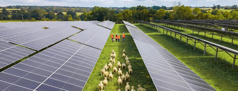 Neoen lance la construction de la plus grande centrale solaire d'&Icirc;le-de-France et de deux parcs agrivolta&iuml;ques | rev3 - la 3&egrave;me r&eacute;volution industrielle en Hauts-de-France | Scoop.it