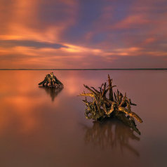 Challenge... by Pawel Kucharski | My Photo | Scoop.it
