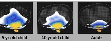 EMF, Wireless Radiation, & Screen Time Research // http://bit.ly/wifi_research | Social & Emotional Learning and Critical Perspectives on SEL Related Initiatives | Scoop.it