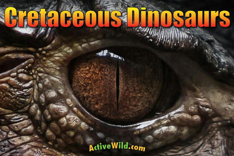 Cretaceous Period Dinosaurs. List Of Dinosaurs Of The Cretaceous Period | Dinosaur Habitats | Scoop.it