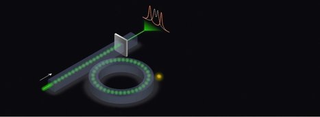 Better Microring Sensors for Optical Applications | Amazing Science | Scoop.it