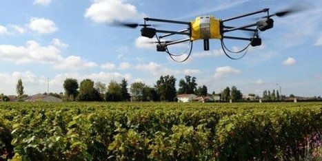 Des drones qui lâchent des insectes dans les champs | Think outside the Box | Scoop.it