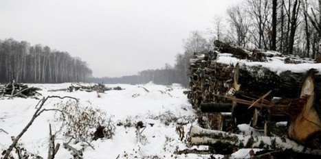 Moscou Saint-P&eacute;tersbourg : l'autoroute de la discorde | ACIPA | Scoop.it