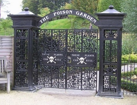 The poison garden | Gardening Life | Scoop.it