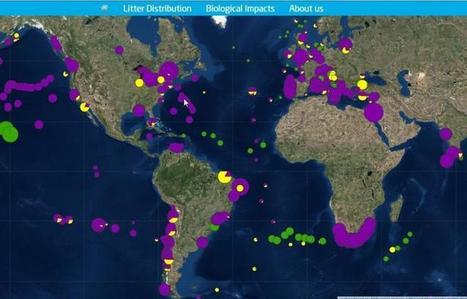 Un nouveau site cartographie la pollution plastique des océans | GREENEYES | Scoop.it