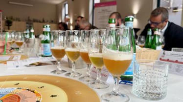 37 bières issues de 15 brasseries hennuyères évaluées lors du concours de bières de la Province de Hainaut | Ecodéveloppement territorial | Scoop.it