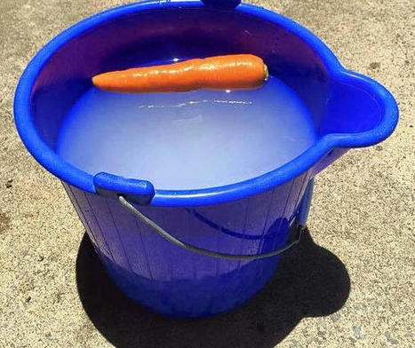 For Sale: Snowman, Good Condition, Used Only One Season, Delivered Disassembled. | 1001 Gardens ideas ! | Scoop.it