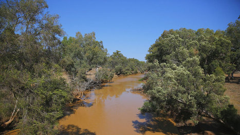 Down the river: The people who depend on the Murray-Darling | Stage 4 Water in the World | Scoop.it