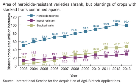 Drought-tolerant varieties begin global march | SEED-DREAM Lab info | Scoop.it