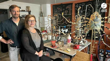 VIDÉO. En Normandie, ces artisans transforment les crustacés et insectes en décoration de luxe | EntomoScience | Scoop.it