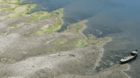 S&eacute;cheresse : les centrales nucl&eacute;aires europ&eacute;ennes en surchauffe &ndash; | Non au Nucl&eacute;aire | Scoop.it